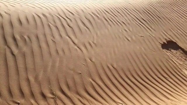 Sands, desert, wind, sand, music, dry, hot, nature, nature travel.