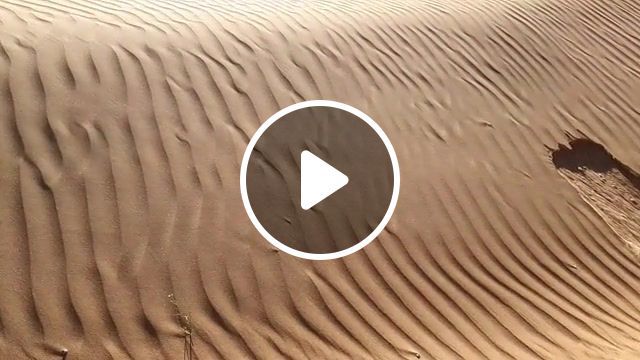 Sands | desert,wind,sand,music,dry,hot,nature,nature travel