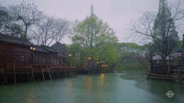 Shanghai bonobo, nature, river, black buddha, nature travel.