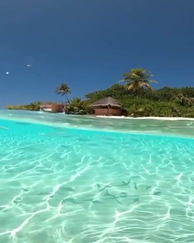 Just Breathe, Paradise, Sea, Maldives, Telepopmusik Breathe, Fish, Palmtrees, Island, Vacation, Escape, Nature, Travel, Nature Travel