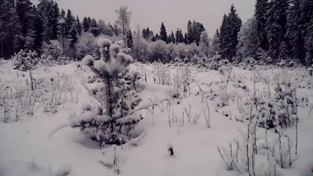 Snow. Music by MORKETSVIND, Morketsvind, Snow, Winter, Cold, Black Metal, Ambient, Nature, Mavic, Drone, Nature Travel