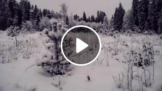 Snow. music by morketsvind