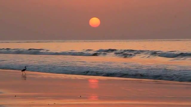 Sunset - Video & GIFs | sunet,sun,nature travel