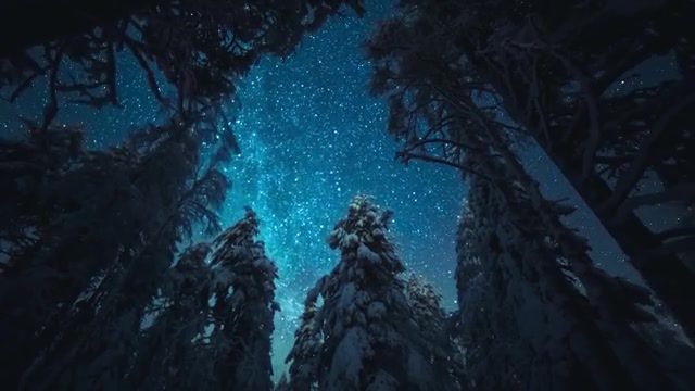 Wish I Could Sleep. Northern Lights. Milkyway. Winter Wonderland. Winter. Snow. Lapland. Niko Juntunen. Finland. Nature Travel.