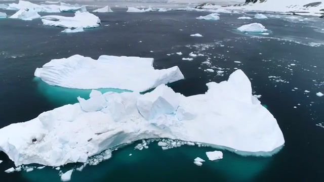 Antarctica. Documental. Timelapse. Snow. Marine Life. Whales. Bear. Ocean. Sailing. Sea. Wildlife. Bruno Saravia. Antarctic. Nature Cinema. Non Verbal. Meditation. Calm. Blue. Creve. Pristine. Beauty. Untouched. Cold. Wilderness. Nature. Magnificent. Beautiful. Humpback Whale. Whale. Ice. Glacier. Mountains. Flight. Above. Aerial Photography. Cinematic. Aerial. Antarctica. Nature Travel.