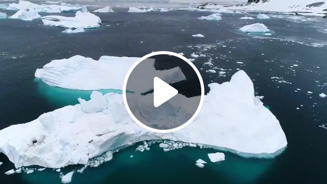 Antarctica, documental, timelapse, snow, marine life, whales, bear, ocean, sailing, sea, wildlife, bruno saravia, antarctic, nature cinema, non verbal, meditation, calm, blue, creve, pristine, beauty, untouched, cold, wilderness, nature, magnificent, beautiful, humpback whale, whale, ice, glacier, mountains, flight, above, aerial photography, cinematic, aerial, antarctica, nature travel. #0
