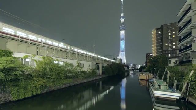 Live Tokyo - Video & GIFs | ost,live tokyo,of the day,re,music,night city,night market,city,tokyo,city,tokyo night,tokyo city,tour0809,tokyo japan city,tokyo japanese lifestyle,tokyo japan at night,tokyo japan tour,nature travel