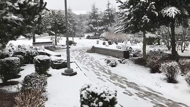 Slow Motion Snow, Cinemagraph, Eleprimer, Cinemagraphs, Scene, Dream, Music, Light, Piano, Sad, White, Ambient, Groovy, Slow, Winter, Snow, Orbo Cool, Orbo, Live Pictures