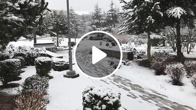 Slow motion snow, cinemagraph, eleprimer, cinemagraphs, scene, dream, music, light, piano, sad, white, ambient, groovy, slow, winter, snow, orbo cool, orbo, live pictures. #0