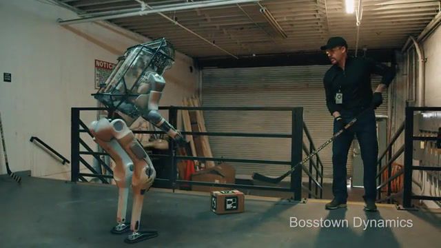Beating the robot, Boston Dynamics, Robot, Robotics, Ai, Artificial Intelligence, Science Technology