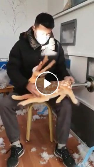 How to make 1 stuffed animal Deer