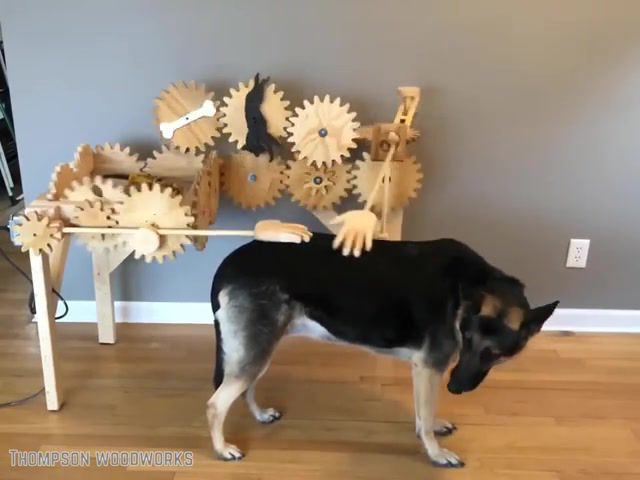 My Automatic Dog Petter, Dog, Dogs, Pet, Petter, Invention, Machine, Mechanic, Wood, Woodcarving, Diy, Handmade, Project, Fun, Do It, Cool, Awesome, Shepherd, Music Aya Looking For The Sun, Science Technology