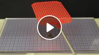 Robotic survives flattened by a fly swatter