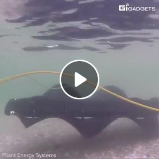 The robot that can travel underwater