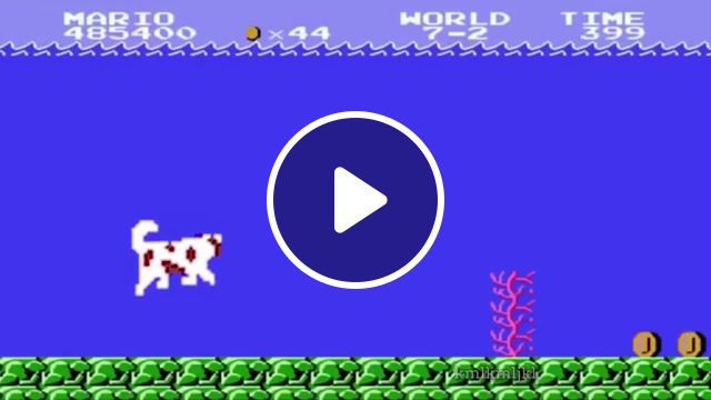 DIGBY. Kml. Kmlkmljkl. Funny. Edit. Dog. Gr. Water. Mario. Swim. Gaming. #0