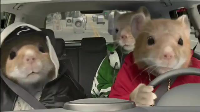 What Is. Kia. Hamster. Commercial. What Is Love. Haddaway. Music.