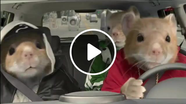 What is, kia, hamster, commercial, what is love, haddaway, music. #0