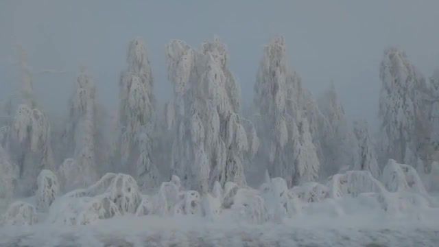 Russia perm city, winter beauty, russian, beauty, winter, nature, perm, nature travel.