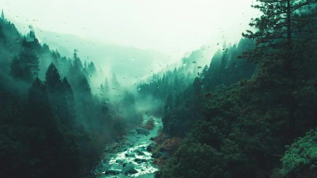 Sad Rain, Loop, Ambient, Relax, Relax Music, Chill, Nature, Nature Sounds, Rain, Rain Forest, Forest, Cinemagraph, Animation, Looping, Gif, Hd Gifs, Hd Background, Pop, Top, Sad, After Effects, Nature Travel