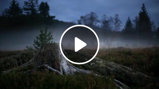 The mysterious of bre penrunko, simon, travel, black forest, dji phantom 2, fall, autumn, forest, black and white, the misty mountains cold, hobbit, nature, beautiful, bre petrunko, nature travel. #0