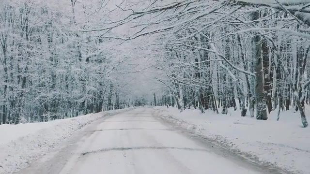 Winter, Nature Travel