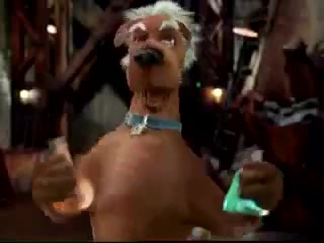 Scooby doo 2 monsters unleashed scooby and shaggy drink the potions, norville shaggy rogers, scoobert scooby doo.