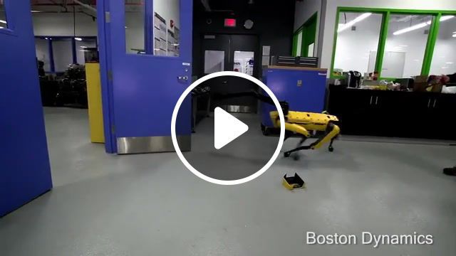 Testing robustness, boston dynamics, legged locomotion, mobile manipulation, dynamic robots, spotmini, legged robots, science technology. #0