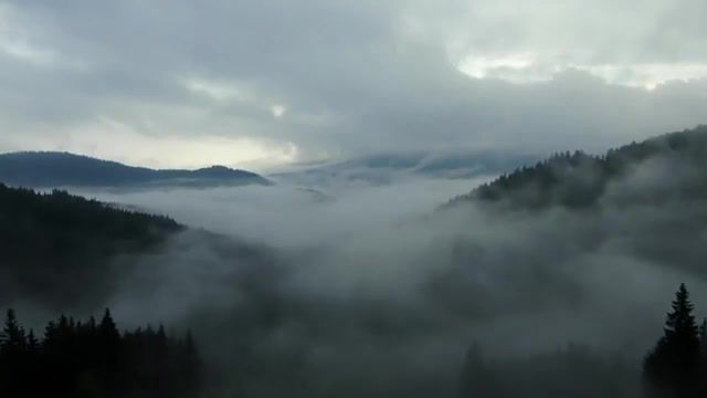 Beautiful nature, nature, sky, fog, clouds, mountains, forest, birds, bird music, music, reborn one hundred years, beautiful, pleasure, chill, soul, nature travel.