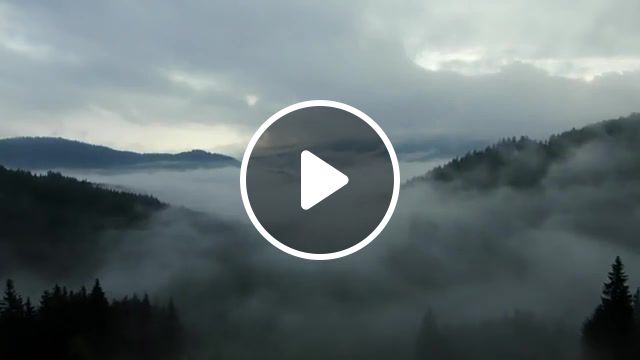 Beautiful nature, nature, sky, fog, clouds, mountains, forest, birds, bird music, music, reborn one hundred years, beautiful, pleasure, chill, soul, nature travel. #1
