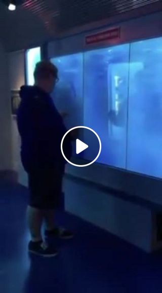 Guy touching aquariums gl