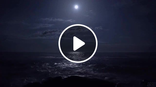 Magnolia at midnight, night, cinemagraph, cinemagraphs, loop, water, chill, deep, eleprimer, live pictures. #0