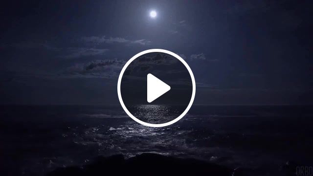 Magnolia at midnight, night, cinemagraph, cinemagraphs, loop, water, chill, deep, eleprimer, live pictures. #1