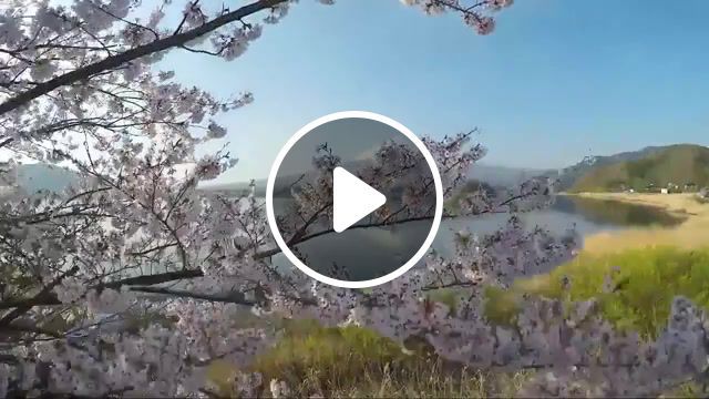 Satisfying japan views, japan, asia, tokyo, mount fuji, shogun, ninja, samurai, cherry blossom, hiroshima, nagasaki, vacation, culture, far east, japanese, sushi, kyoto, shrine, temples, shinto, tokyo city tower, nature travel. #0
