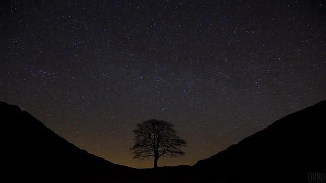 Night sky over Northumberland, UK, Uk, Eleprimer, Dark, Music, Deep, Timelapse, Orbo, Forest, Wood, Night, Sky, Stars, Light, Easy, Chill, Dub, Cinemagraphs, Cinemagraph, Live Pictures