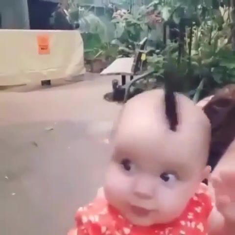 Random Funny Pictures RFP part 1 - Video & GIFs | funny,baby,humor,mashup