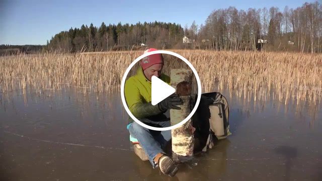 Man killed by a log, directed by robert, meme, log, oops, rip, f, ice, funny, wood, nature, nature travel. #0