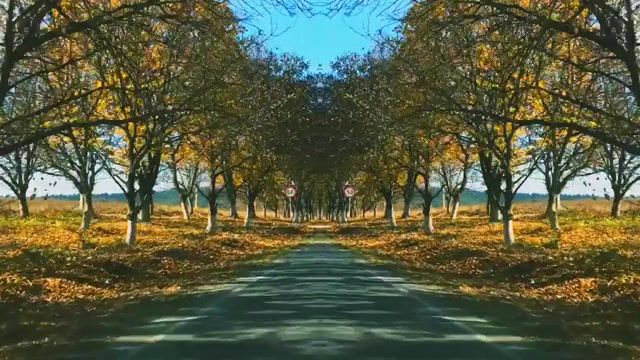 Autumn, Autumn, Maze, Pineapple, Another, Chance, Caleidoscope, Chillout, Chill, Leaves, Road, Colors, Sky, Nature Travel