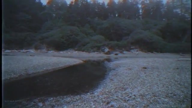 Depressed, cursed, music, witch house, nature, usa, washington, ruby beach, fog, mist, forest, nature travel.