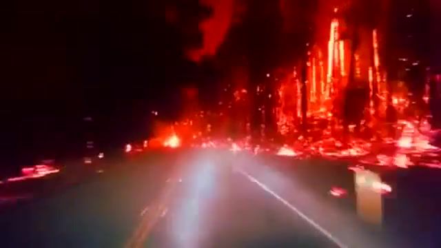 Driving through forest fire - Video & GIFs | driving,forest fire,fire,highway,dare devils,adrenaline,adrenaline rush,flames,nature travel