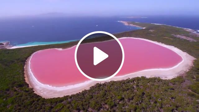 Pink lake in australia, pink, beautiful, world, western australia australia equestrianism jumping lake wingsuit flying skiing, nature travel. #0