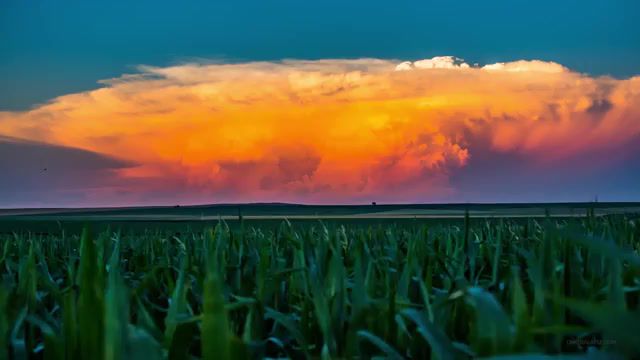 Sunset field, Gracefully, Nature, Gr, Field, Cloud, Nature Travel