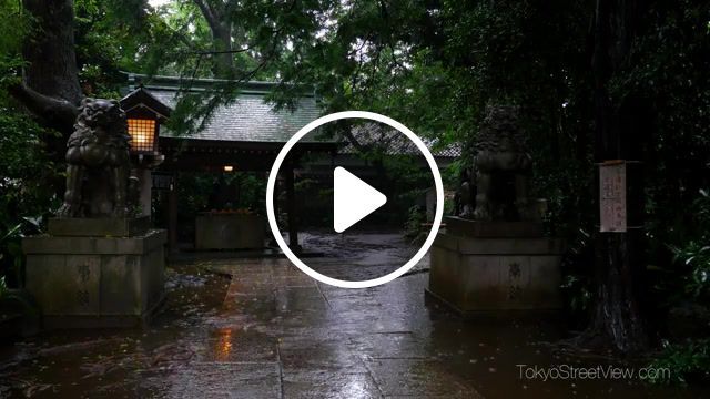 Tokyo okusawa shrine in the summer rain, rain, rainy season, japan, tokyostreetview, okusawa shrine, tokyo street, tokyo, temple, street, barradeen lost feelings, nature travel. #0