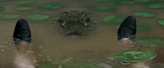 Hardy Bath x5 - Video & GIFs | radio,mashup,mashups,hybrids,pm,tom hardy,venom,capone,capone trailer,al capone,capone official trailer,tank,lobster,alligator,crocodile,wtf,hunger,bathing,music,funny,vengaboys up and down,pitbull i know you want me,rocko hi and bye,mika relax,sergey lazarev eat you up