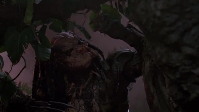 Come on, Predator, come on, Ha, Nope, Good Timing, Arnold Schwarzenegger, Motherer, Predator, Come On, Notorious Big Come On, Wait For The Mix, Mashup