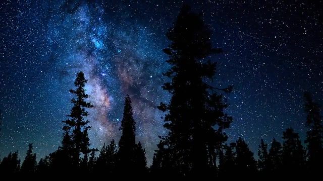 At Night - Video & GIFs | milky way,night,stars,forest,nature,chillin,ecepta,direct abandon ecepta remix,ambient,starry sky,nature travel
