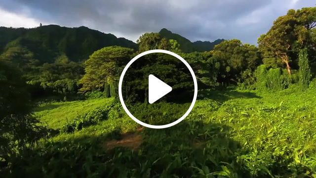 Hawaii, hawaii, 4k, drone, phantom 4, dji, oahu, motivational, drone footage, devinsupertramp, kualoa ranch, cliff jumping, inspirational speech, extraordinary, in 4k inspirational speech make your life extraordinary, make your life extraordinary, te vaka we know the way live with orchestra wellington, te vaka, we know the way, travel, gotravel, nature travel. #0