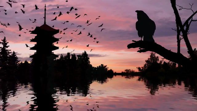 New day's morning, Raven, Crow, Japan, Pagoda, Sunrise, Animation, Nature Travel