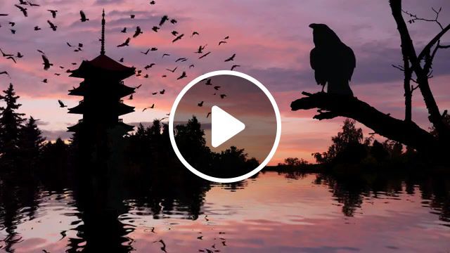New day's morning, raven, crow, japan, pagoda, sunrise, animation, nature travel. #0