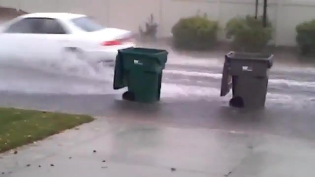 Riders on the storm, Storm, Garbage, Bins, Nature Travel