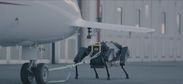 Eye of the robot - Video & GIFs | hyqreal,not boston dynamics,iit,istituto italiano di technologia,hyq,quadruped,piaggio aerospace,aeroporto genova,airport,moog,inail,echord,while you're sitting on the couch they train,walking robot,science technology
